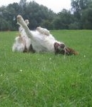 click for a larger view